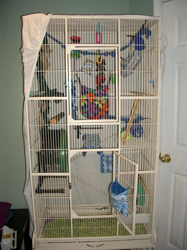 sugar glider habitat cage