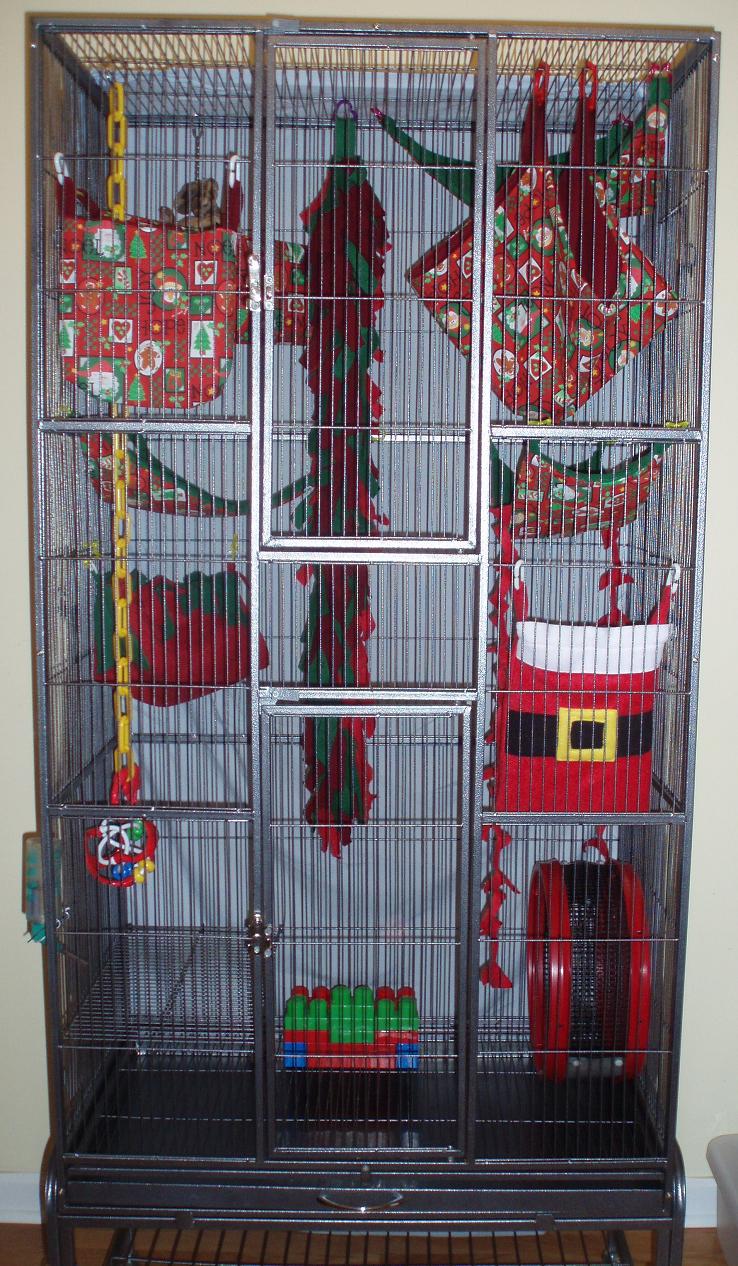 Cheap Sugar Glider Cages