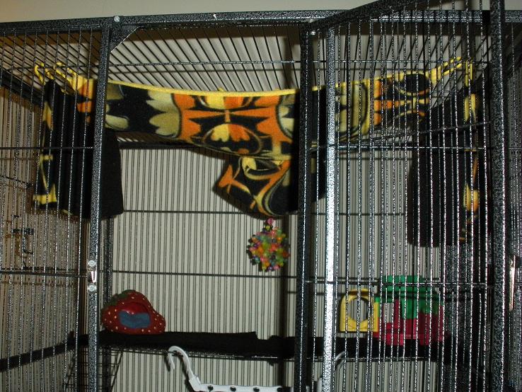 GliderGossip Cage Set Up Interior Decorating