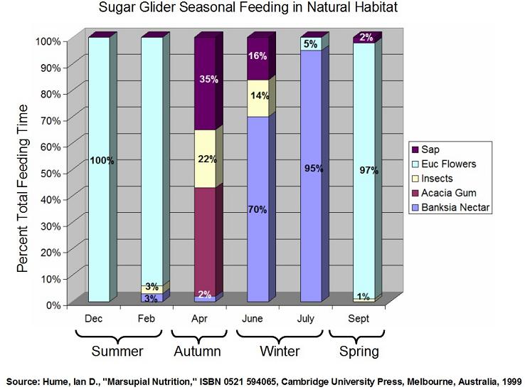 Sugar Glider Food Chart