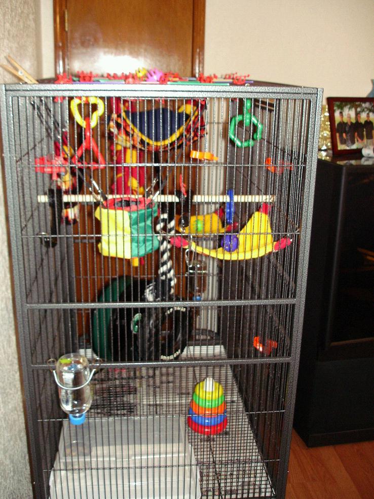 Homemade sugar glider sales toys