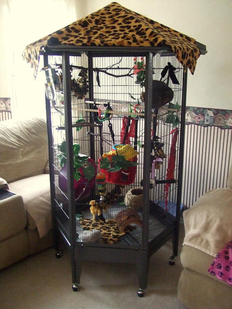 How To Make A Homemade Sugar Glider Cage GliderGossip Making A