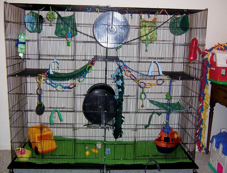 sugar glider habitat cage