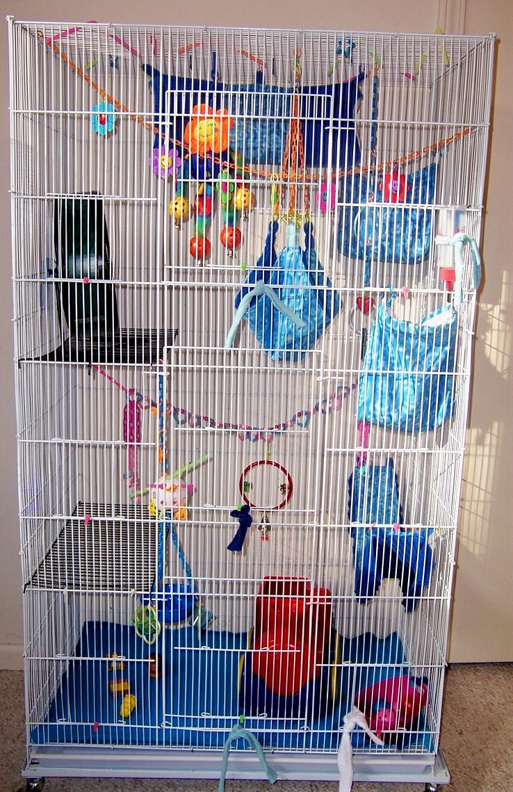 Large Sugar Glider Cages For Sale