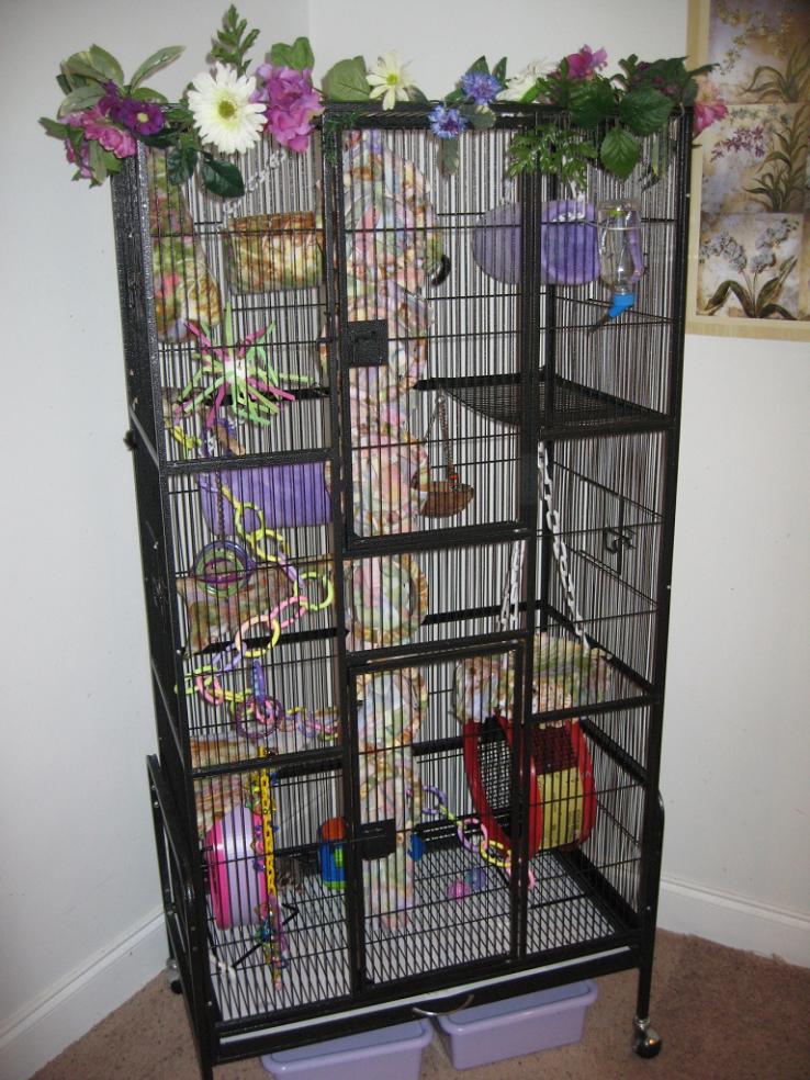 Sugar Glider Cage Set Ups At Marsha Tibbetts Blog