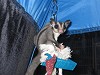 Click Here to View - Peanut and Tent Time