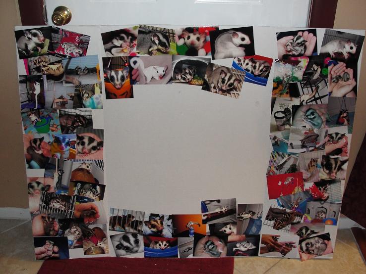 GliderGossip Photos of the science fair backboard