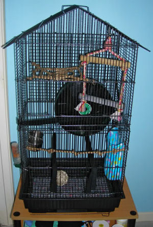 Sugar Glider Cages - A Bad Example